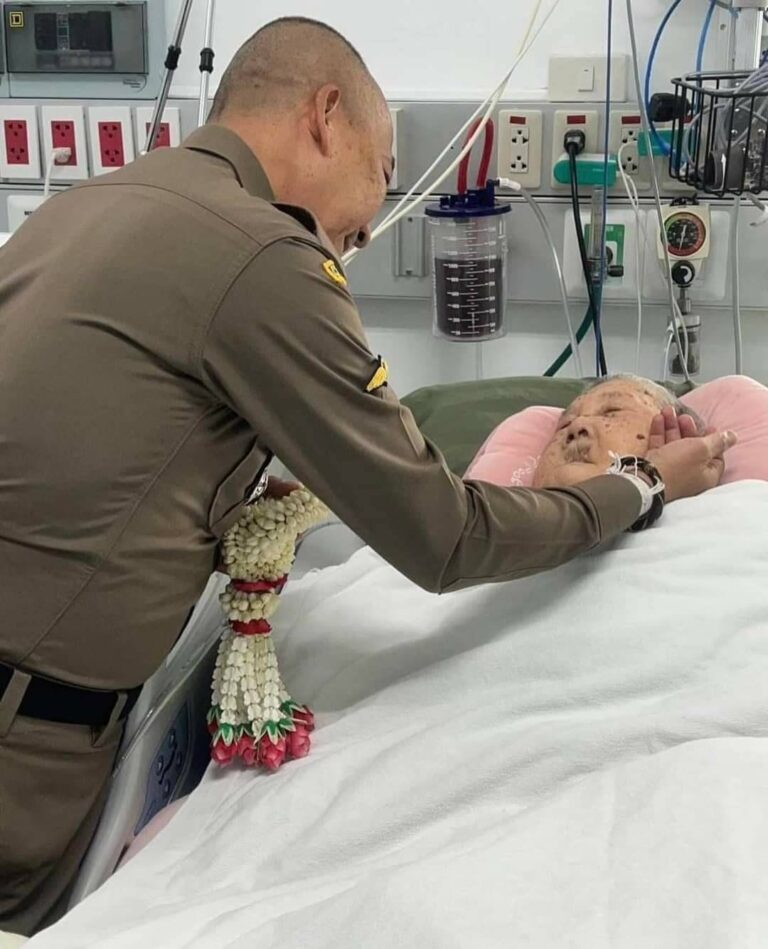 386587855 629932259353151 8781194524849669420 n