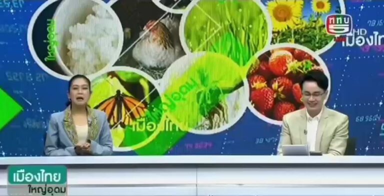 409209067 7138184959566879 1274347029444684898 n