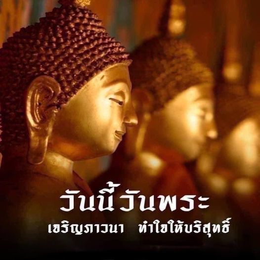 412537899 371414565373047 8773917383214818305 n