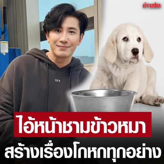 431121807 832092502280833 7778493952074621300 n