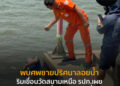 พบศพชายปริศนาลอยน้ำ ริมเขื่อนวัดสนามเหนือ รปภ.เผย ผู้ตายชอบนั่งกินเหล้าริมเขื่อน